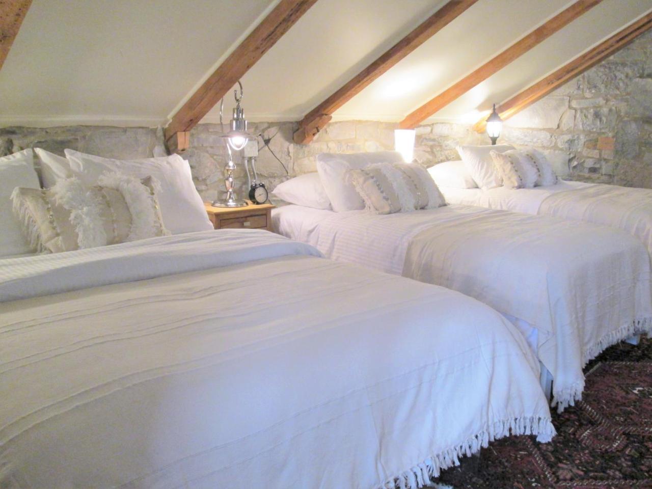 קינגסטון All Suites Whitney Manor מראה חיצוני תמונה